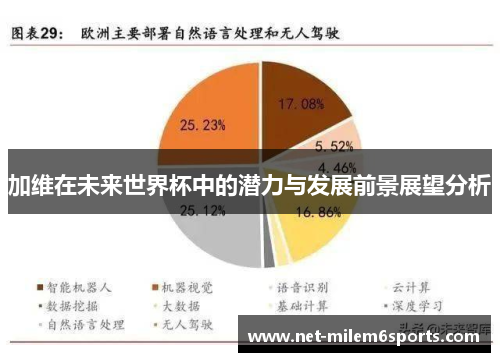 加维在未来世界杯中的潜力与发展前景展望分析