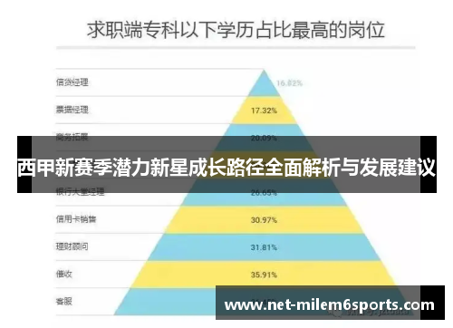 西甲新赛季潜力新星成长路径全面解析与发展建议