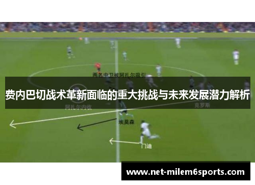 费内巴切战术革新面临的重大挑战与未来发展潜力解析