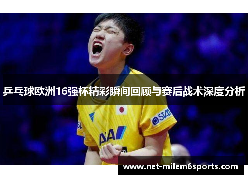 乒乓球欧洲16强杯精彩瞬间回顾与赛后战术深度分析