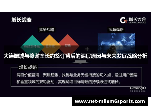 大连鲲城与穆谢奎长约签订背后的深层原因与未来发展战略分析